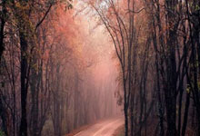 开云体育下载-绿茵战场，狂热永燃——每一滴汗水都是信仰的燃烧