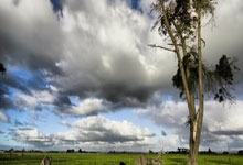 开云体育平台APP-凤凰涅槃！XX球队战力飙升锁定淘汰赛，黑马神话正在缔造