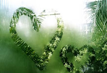 开云官网-天体风暴再起！恒大六连斩智诚，王者之势不可挡