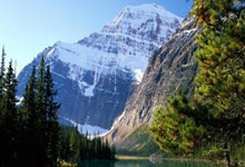 开云体育-南粤雄狮的逆袭之路！广东宏远誓捍CBA不败金身