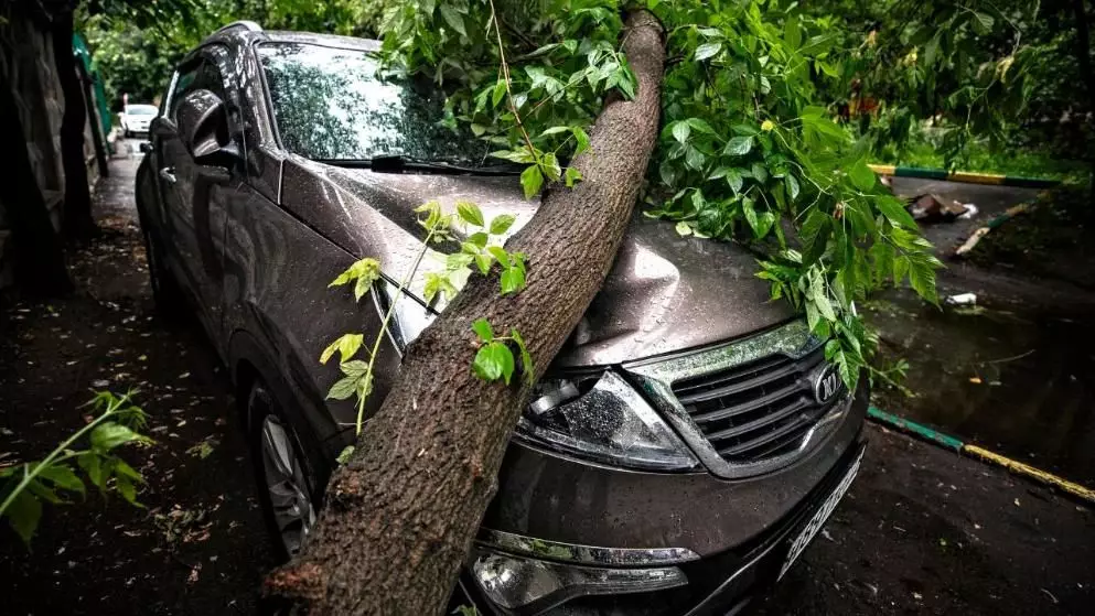 开云平台-关于暴风雨欲来，球场风暴席卷而至，挑战高峰的信息