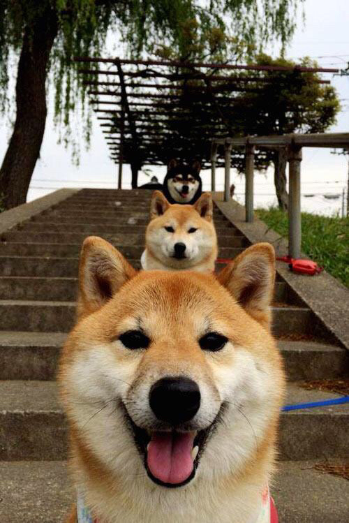 罗德里一役封神,在巴萨的废墟上,他重新定义了现代后腰的标杆