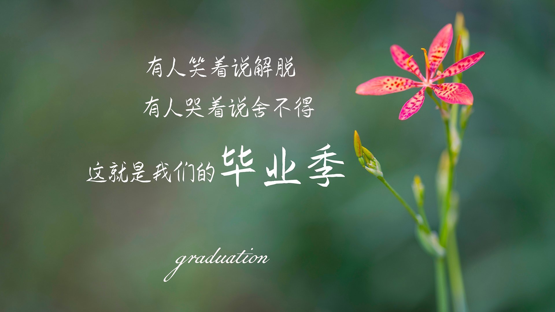 开云体育APP下载-2026世界杯之夜，范弗利特，那个用冷静为球队注入心跳的大场面先生