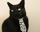 当浙江队闪耀NBA赛场,一场跨越太平洋的篮球文化碰撞与胜利