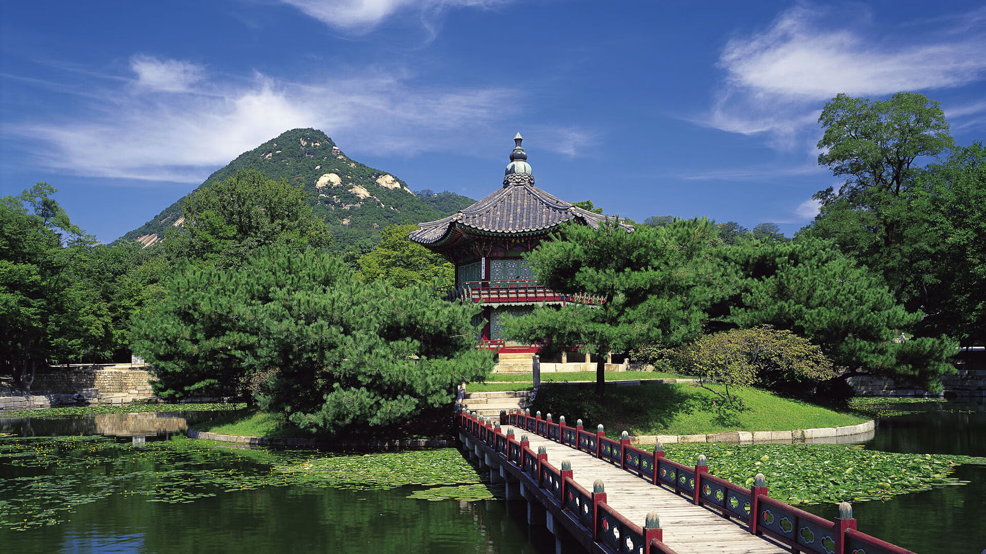 丹佛雪夜降紫金，中投死神定乾坤