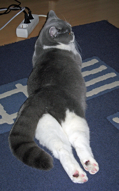 开云平台-巴萨中场京多安成关键先生，德国队战术压制轻取巴拉圭