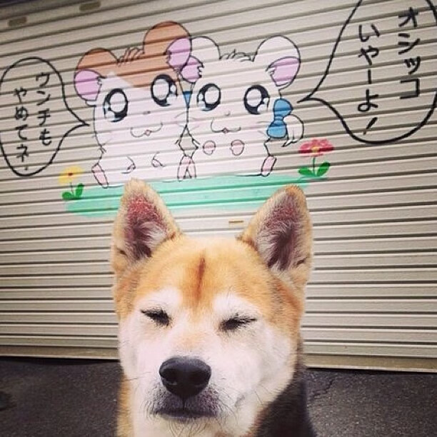 开云体育-莫兰特上演教科书表演，黄蜂单节暴走拉开火箭，新生代控卫的华丽宣言