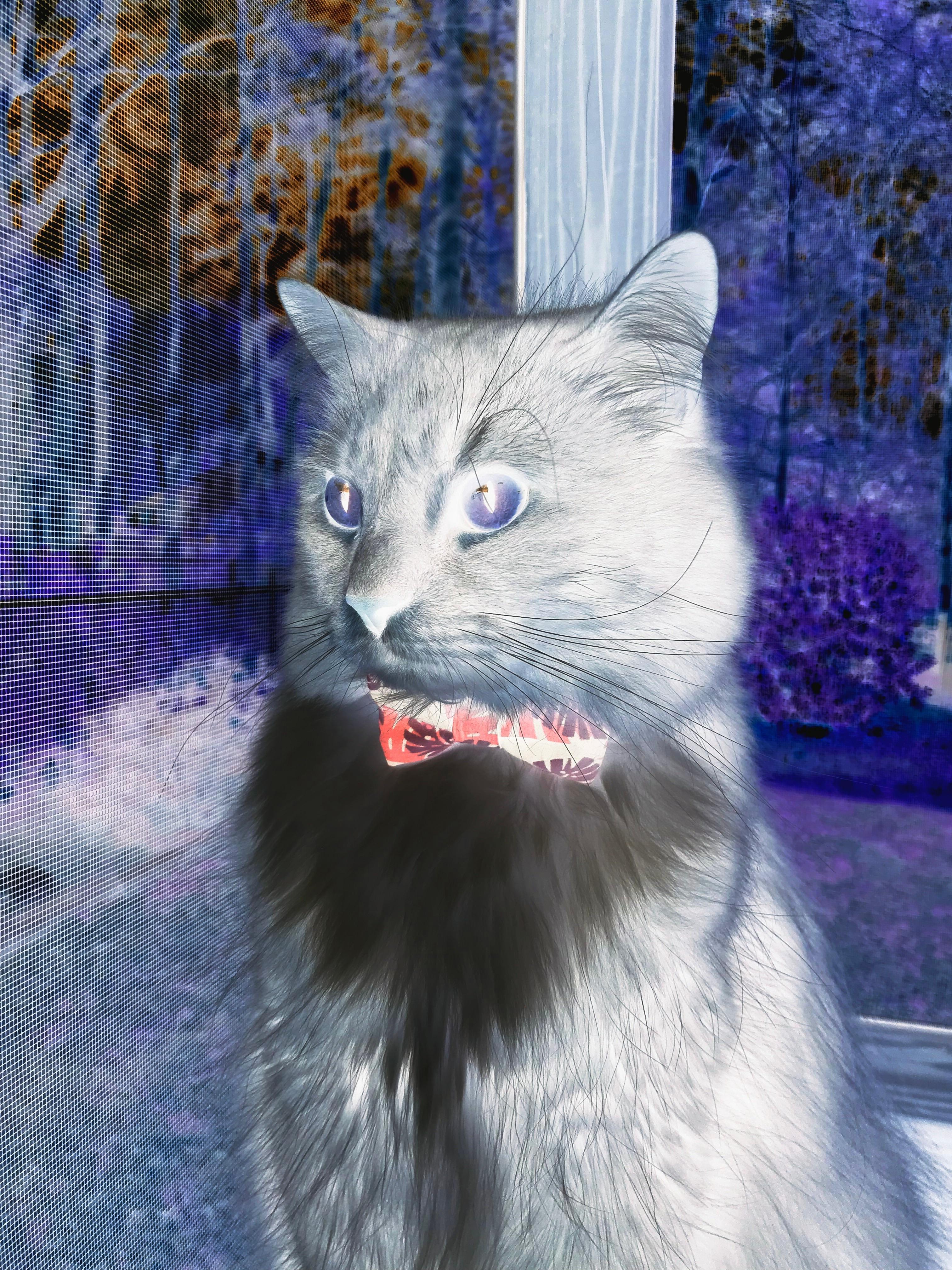 开云APP-布伦森主导攻防转换，勇士团队协作击败掘金