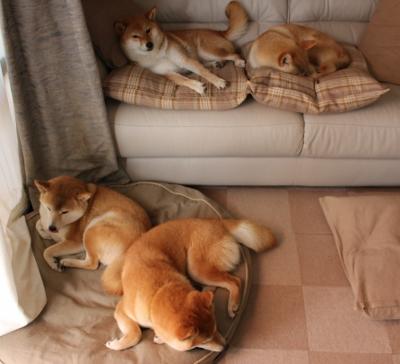 开云体育-跨界烽火，西甲国家德比的足球史诗与灰熊火力压制上海队的篮球狂潮