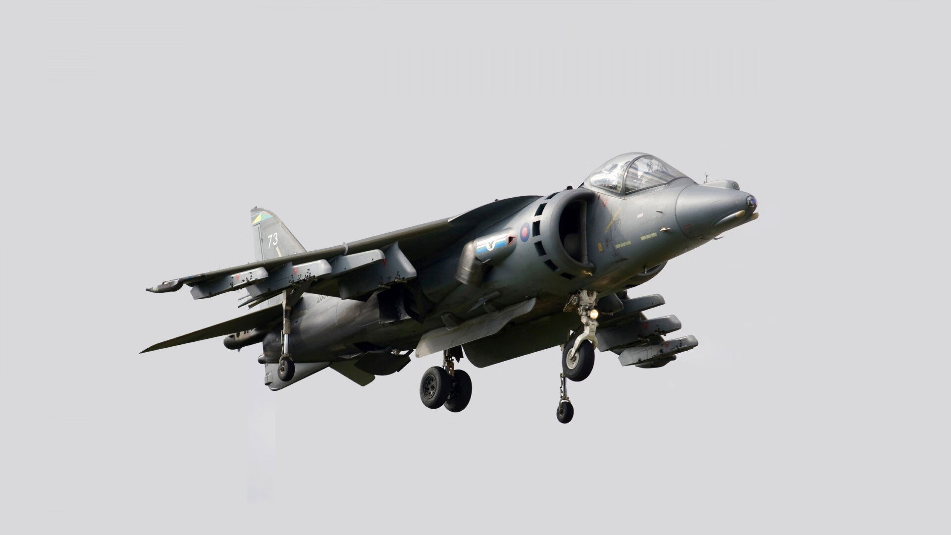 红黑军团决胜塞内加尔,魔笛焦点战展现实力