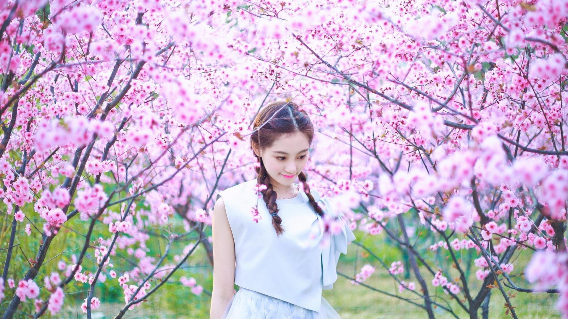 布克狂飙席卷东北，迈阿密热火客场斩落吉林