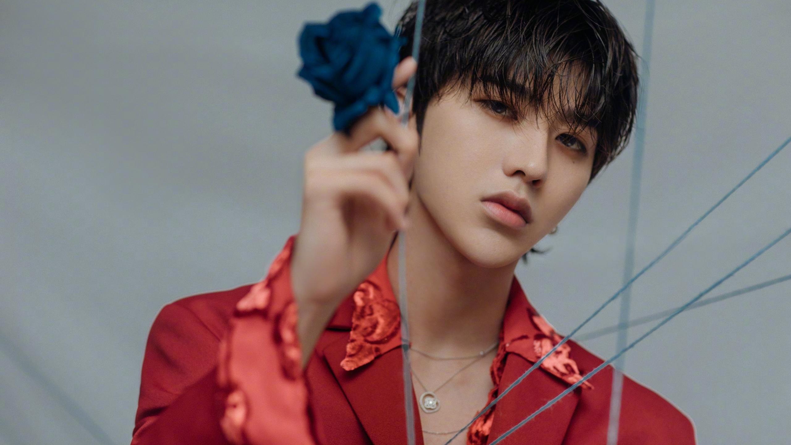 节奏之王与铁血之师，布克的艺术与灰熊的暴力美学