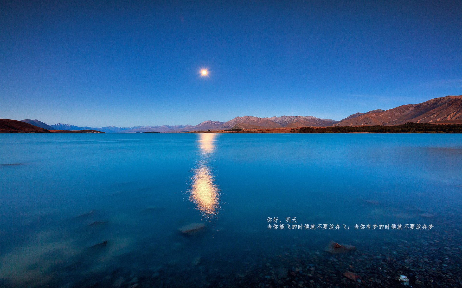 开云官网-文班亚马以攻防一体撕裂空间，公牛决胜时刻扼住卫冕冠军咽喉