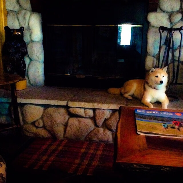 开云体育中国-焦点之战，切特在黄蜂对阵北京队的比赛中证明自我