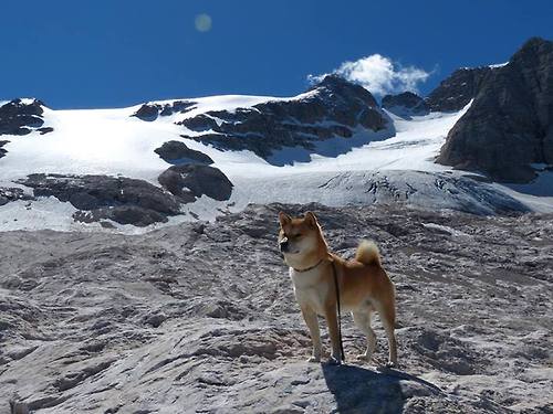 中流砥柱，戈贝尔在抢七之夜驱动全队节奏