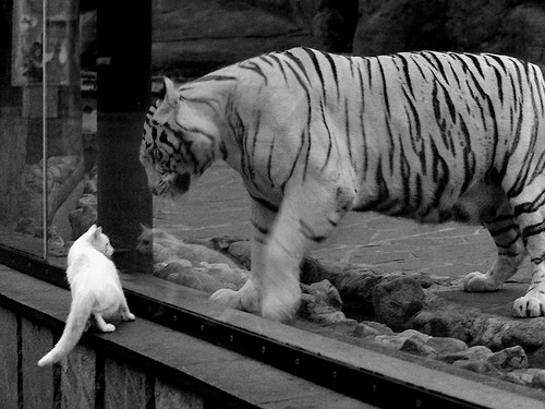 中国足球终结洪都拉斯,范戴克巨星价值引领时代