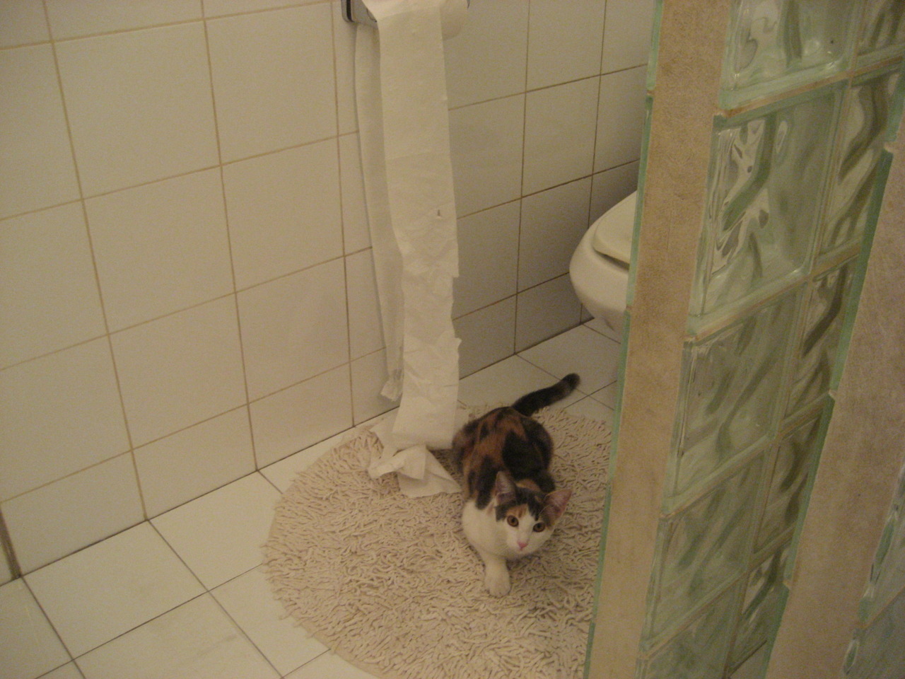 塞维利亚险胜苏格兰，李刚仁带队取胜书写亚洲荣耀