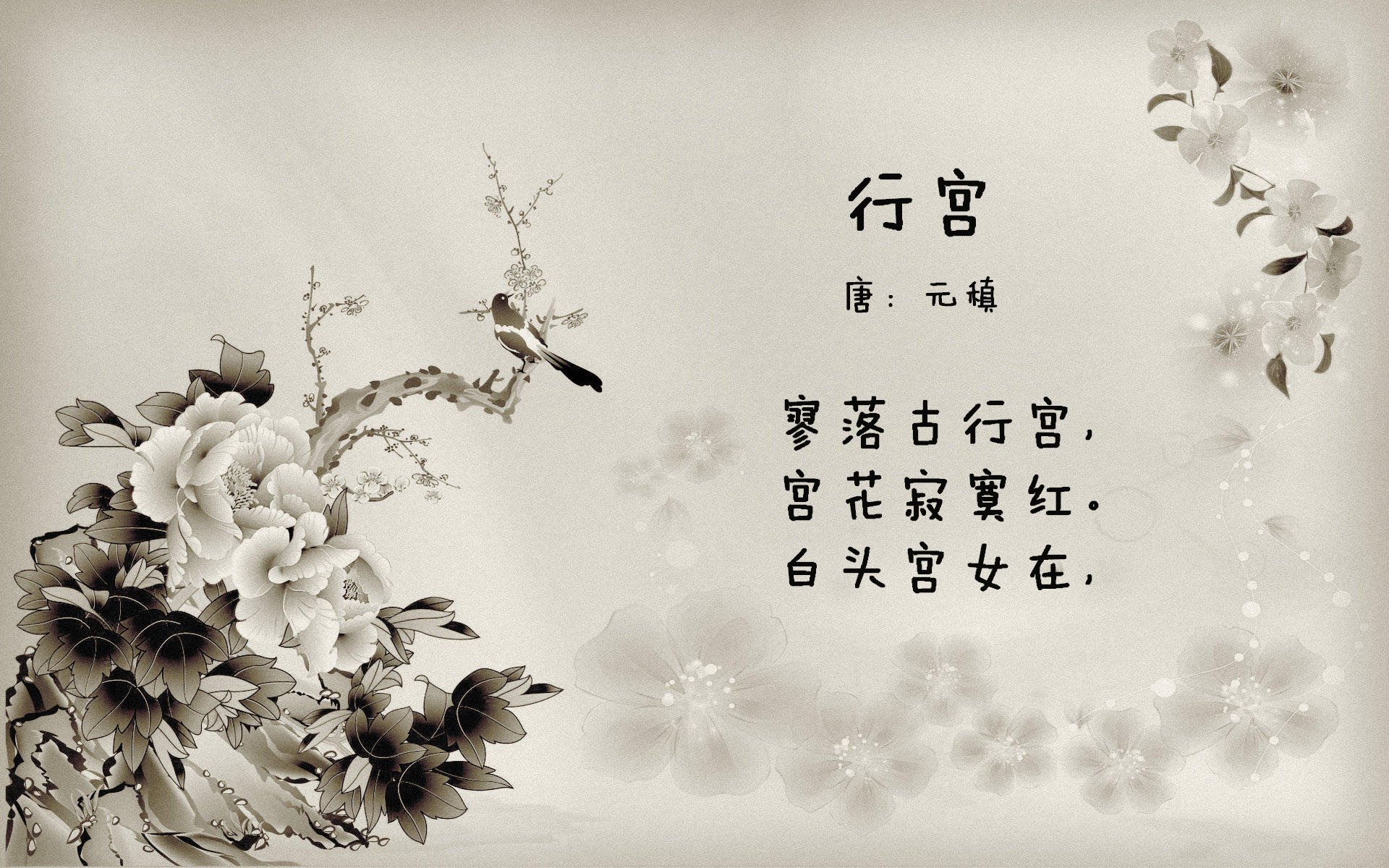 西甲风云，国家德比的喧嚣之外，皇家社会用胜利谱写争冠变奏曲