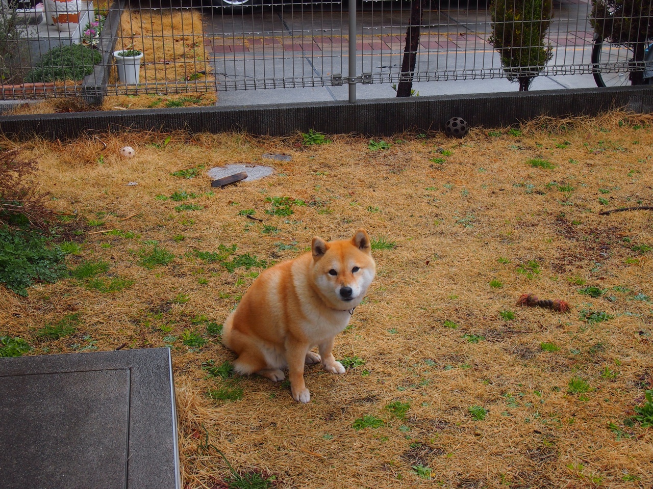 卡塞米罗状态火热,南美雄鹰的怒吼唤醒不眠大陆,记马里巅峰对决中胜出的尼日利亚